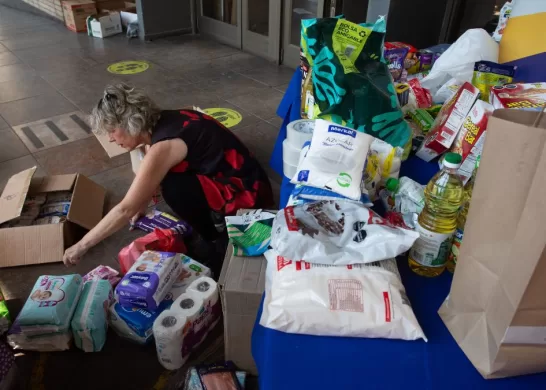 Desafío Levantemos Chile