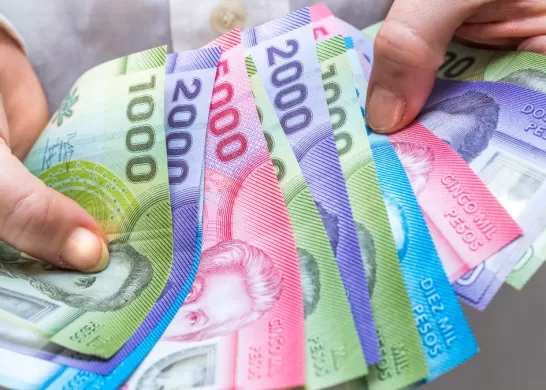 Bono De Protección 19 Marzo