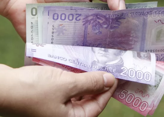 Bono De Protección 15 Abril