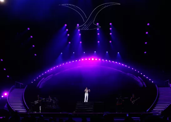 Demanda Canal 13 Festival De Viña