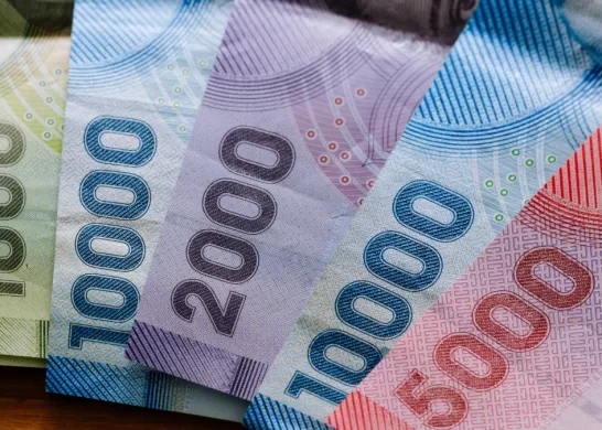 Bono De Cesantía Día 23