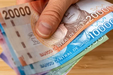 Bonos Para Cesantes 21 Junio
