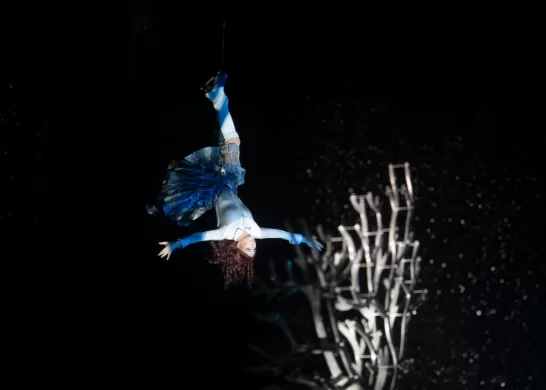Cirque Du Soleil Crystal Entradas