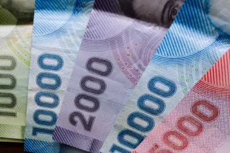 Bonos Para Cesantes 20 Noviembre