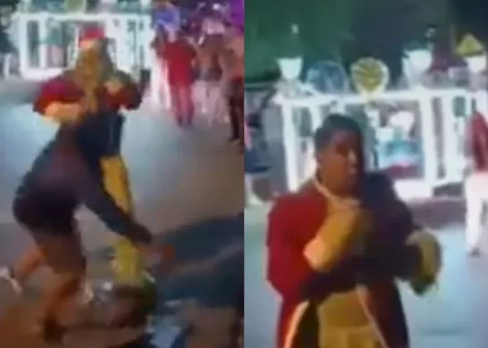 Grinch Golpea A Hombre