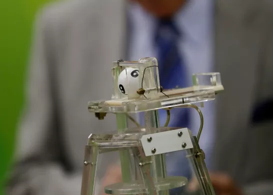 Fechas Sorteo La Suerte En Chile 2024