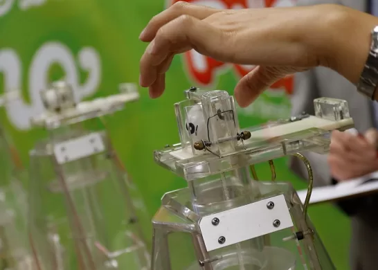 La Suerte En Chile 2024 Miércoles 11