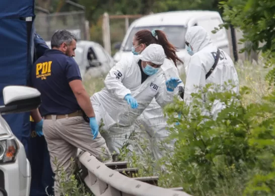 PDI En Procedimiento (1)