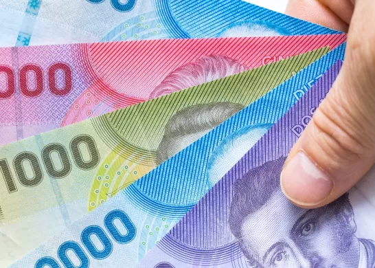 Bono De Protección 16 Enero