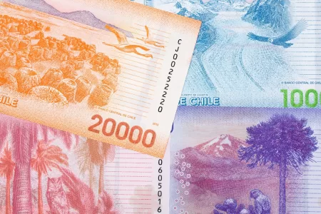 Bono De Protección 21 Enero