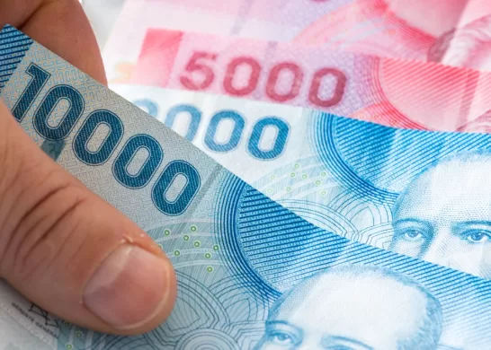 Bono De Protección 24 Enero