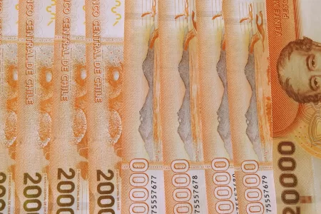 Bono De Protección 30 Enero