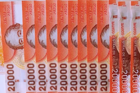 Bonos Para Cesantes 21 Enero