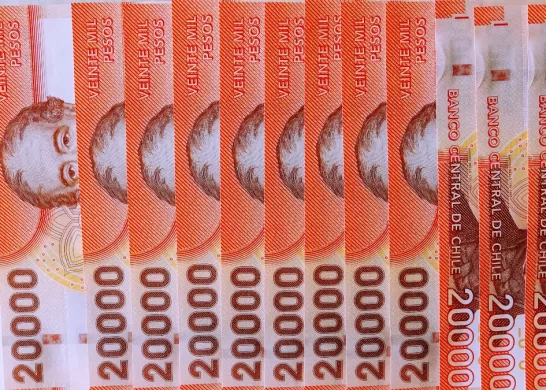 Bonos Para Cesantes 21 Enero