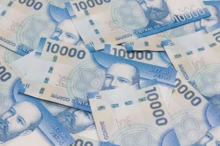 Bonos Para Cesantes 31 Enero