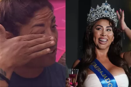 Botota Fox Respuesta Naya Fácil