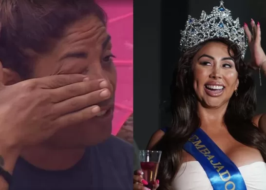 Botota Fox Respuesta Naya Fácil