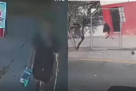El Panda Asesino