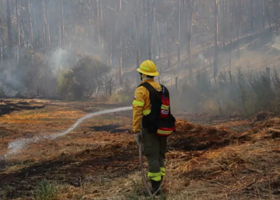 ForestAL