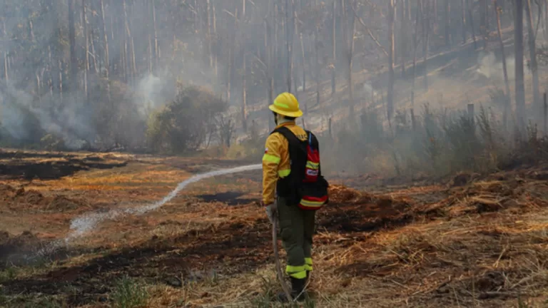 ForestAL
