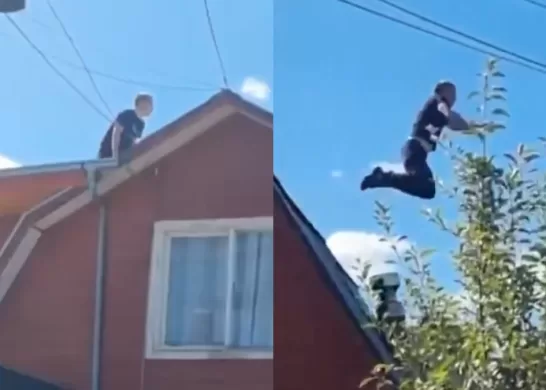 Hombre Araña Temuco
