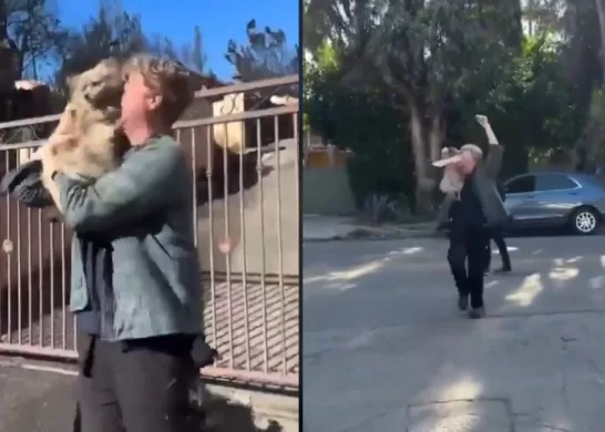 Hombre Se Reencuentra Con Su Perro