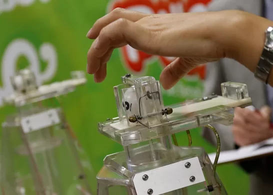 La Suerte En Chile 2024 Ganadores