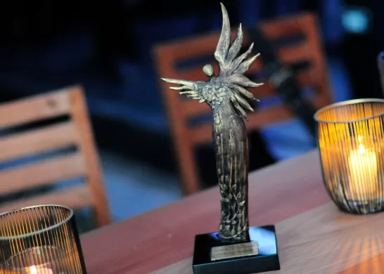 Premios Caleuche Ganadores