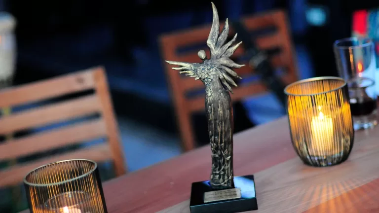 Premios Caleuche Ganadores