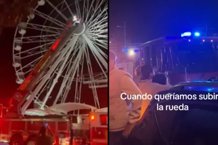 Rueda De La Fortuna Viña Del Mar