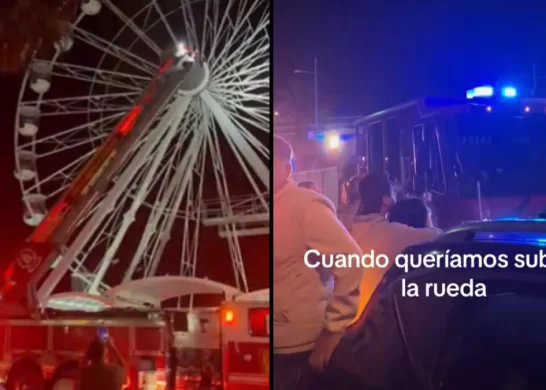 Rueda De La Fortuna Viña Del Mar