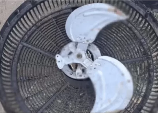 Ventilador Mata A Hombre En Argentina