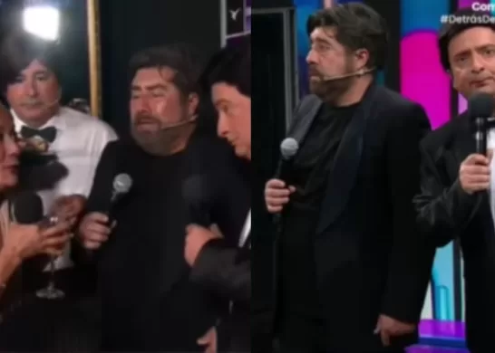 Festival De Viña   Detrás Del Muro