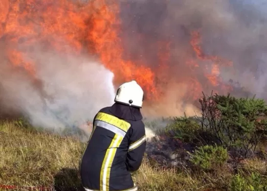 Valparaíso Megaincendio