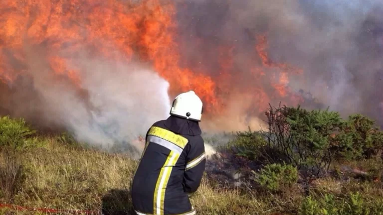 Valparaíso Megaincendio