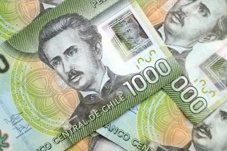 Bono De Protección 1 De Febrero