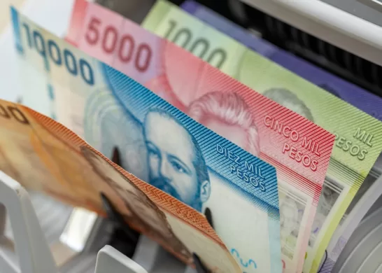 Bono De Protección 28 Febrero