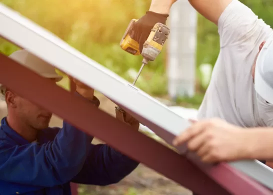 El Chacotero Sentimental 3 Febrero