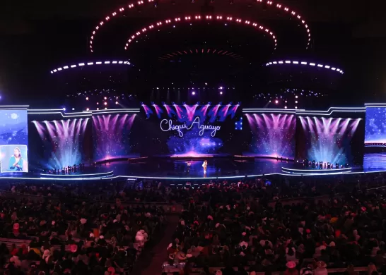 Festival De Viña Artistas Miércoles