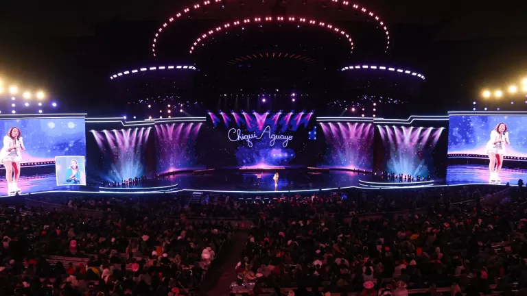 Festival De Viña Artistas Miércoles