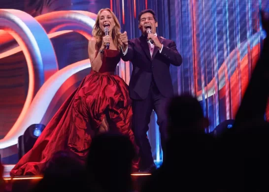 Festival De Viña Tercera Noche