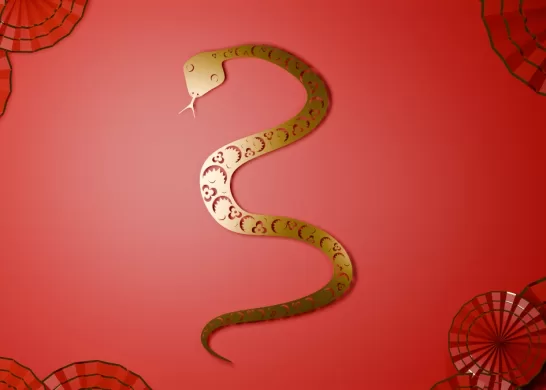 Horoscopo Chino Predicciones