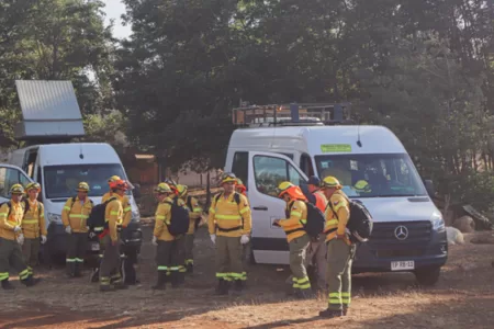 Incendio en el Maule
