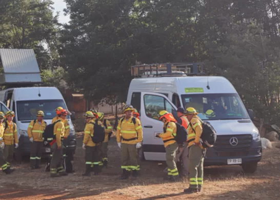 Incendio en el Maule