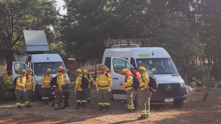 Incendio en el Maule