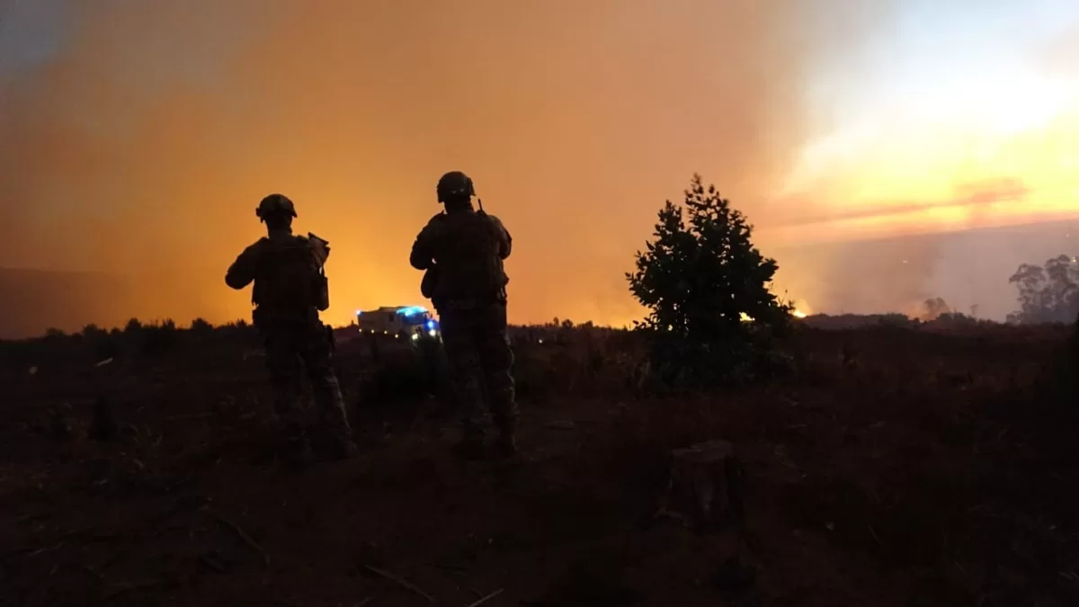 Incendios forestales en el sur arrasan con más de 9 mil hectáreas y hay ...