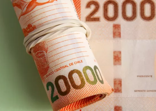 Bono De Protección (1)