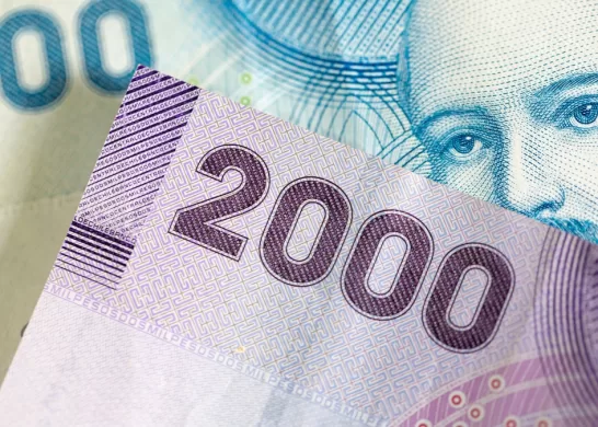 Bono De Protección 29 03