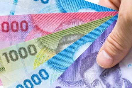 Bono De Protección 13 Marzo