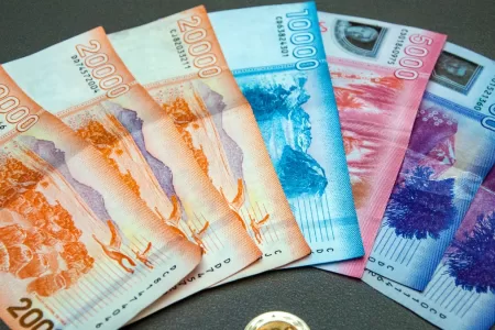 Bono De Protección 19 Marzo